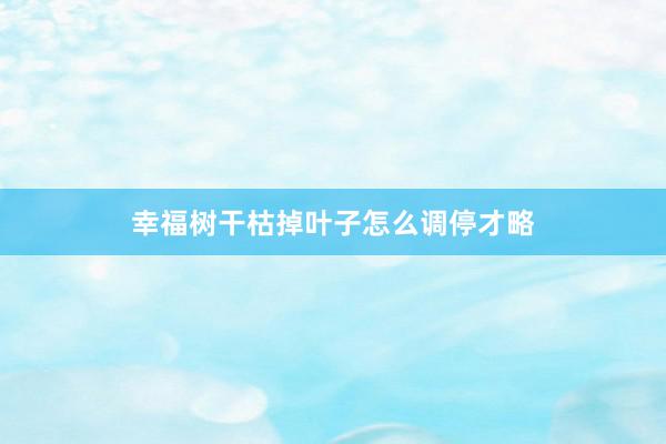 幸福树干枯掉叶子怎么调停才略