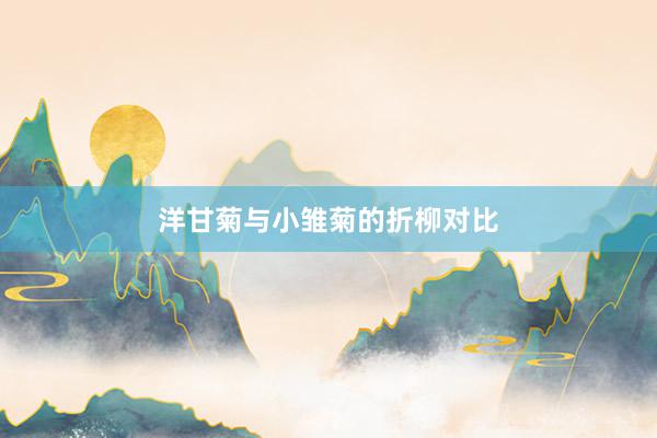 洋甘菊与小雏菊的折柳对比