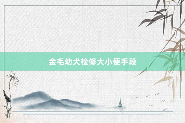 金毛幼犬检修大小便手段