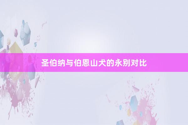 圣伯纳与伯恩山犬的永别对比